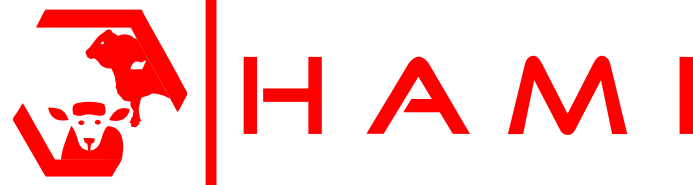Alimentos Hami